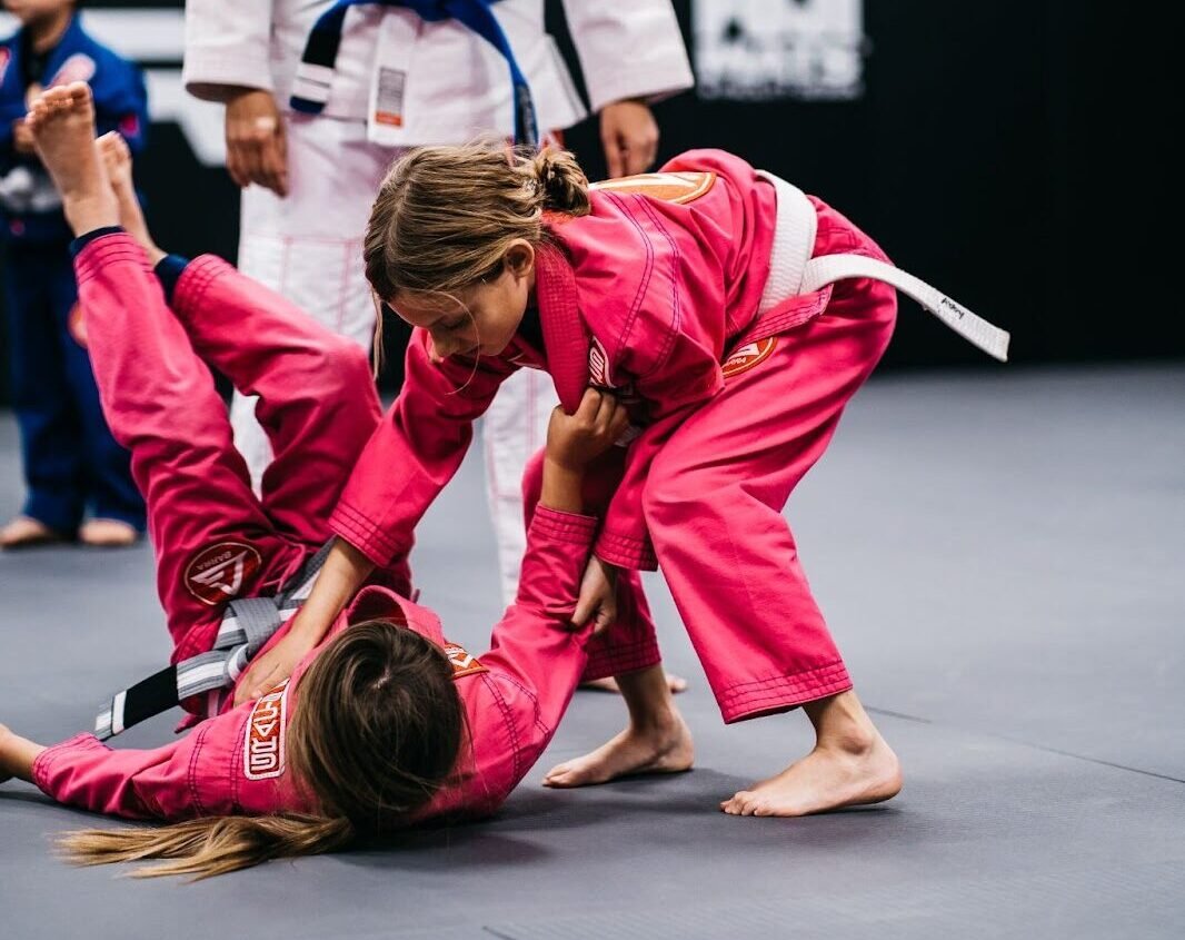 No More Bullies, Learn BJJ